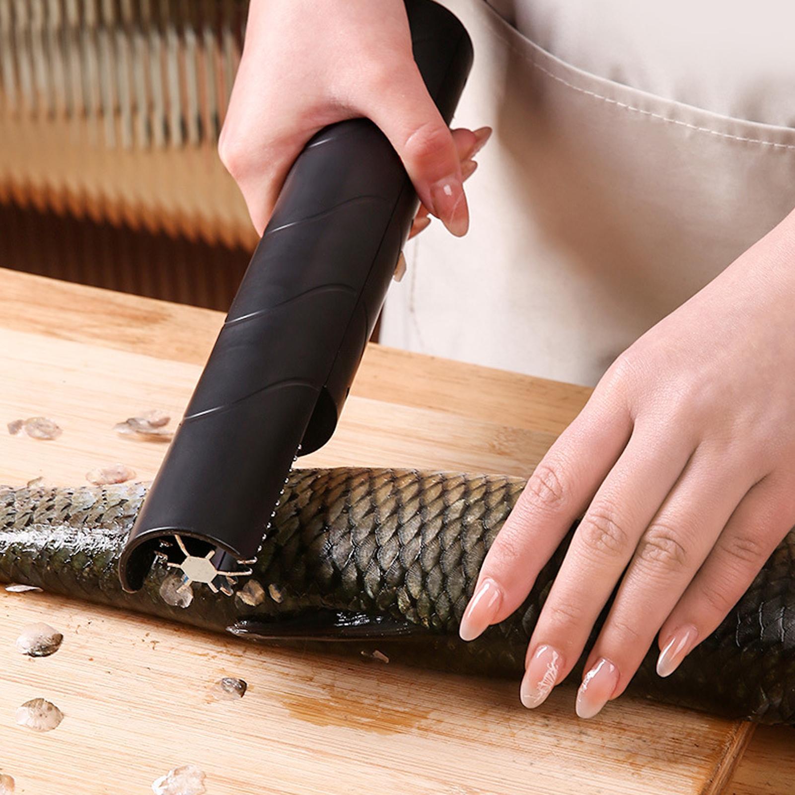 Descamador de Pescado Inalámbr - Home Cooking Meal reseña y precio